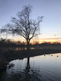 Silhouette bare tree by lake against sky during sunset