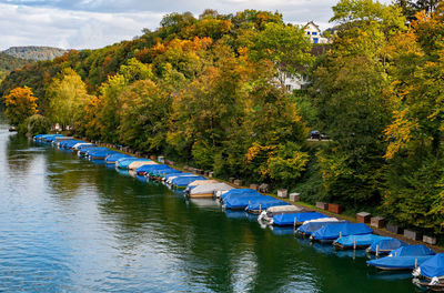 Scenic view of river amidst trees