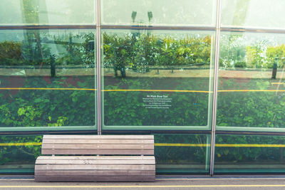 Trees and plants seen through glass window