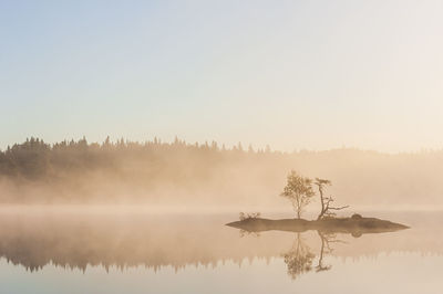 Small island with trees on a misty lake