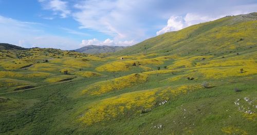 Scenic view of landscape against sky