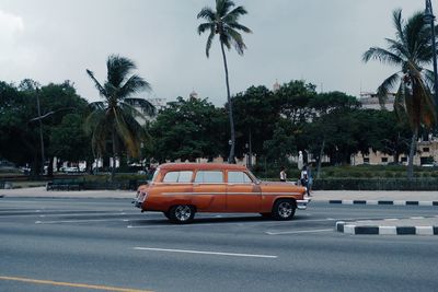 Car on road by trees against sky