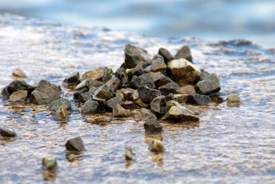 Close-up of rocks on shore