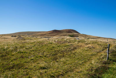 Scenic view of field against clear blue sky