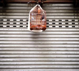 Low angle view of bird in cage against shutter