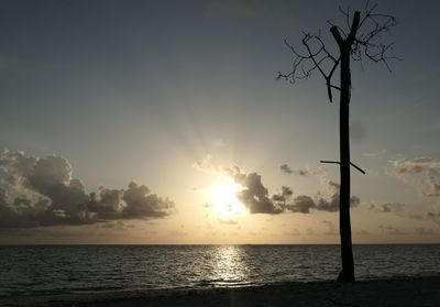 Silhouette tree by sea against sky during sunset