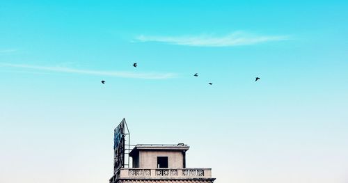 Low angle view of birds flying in sky