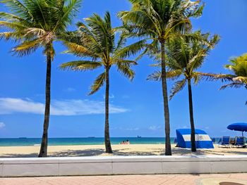 tropical climate