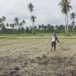 Rear view of man walking on field