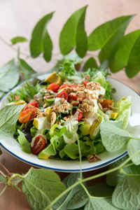 Close-up of salad in plate