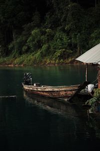 Scenic view of lake in forest