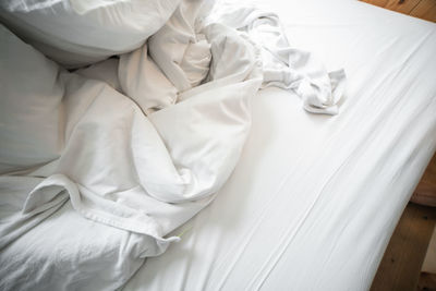 High angle view of white lying on bed