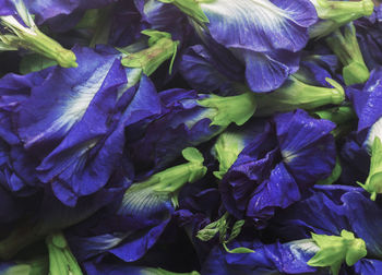 Full frame shot of purple flowers