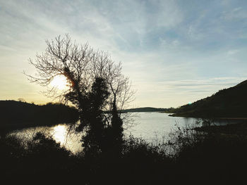 Silhouette tree by lake against sky during sunset