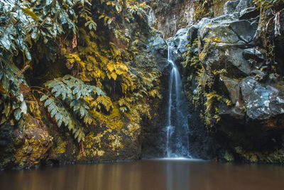 Scenic view of waterfall