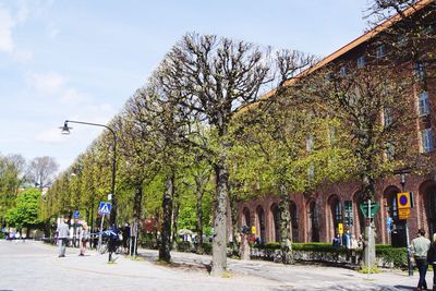 People walking on road