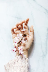 Woman hand with pink almond flowers coming out of the sleeve on marble background