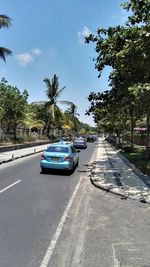 Road passing through forest