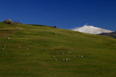 Scenic view of grassy field against cloudy sky