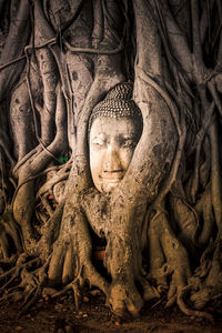 Statue of buddha in temple