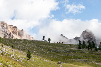 Scenic view of landscape against sky