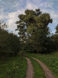 Road amidst trees on field against sky