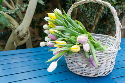 Close-up of flowers in basket