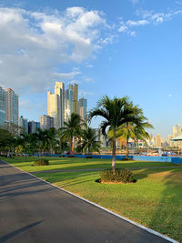 Road by trees and buildings against sky