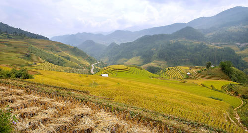 Scenic view of agricultural field and mountains against sky