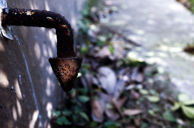 Close-up of rusty metal