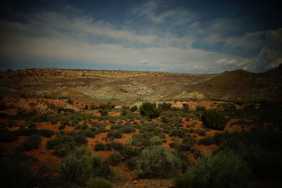 Scenic view of landscape against cloudy sky