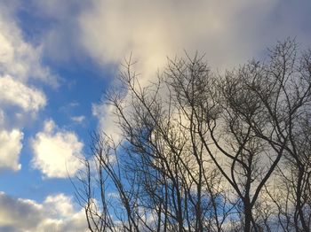 Low angle view of bare tree against cloudy sky