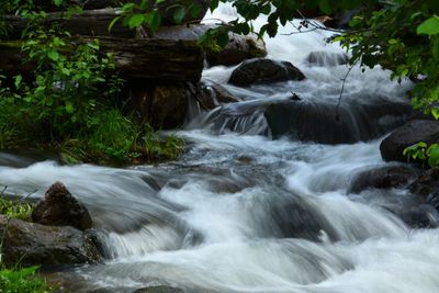 Scenic view of waterfall in forest