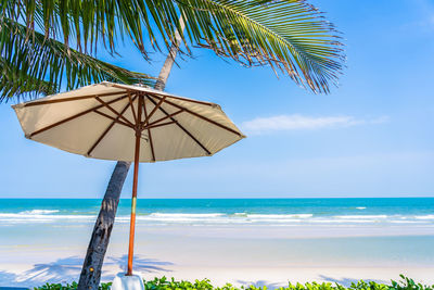 Low angle view of coconut palm trees on beach against sky