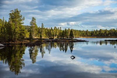 Scenic view of lake by trees against sky