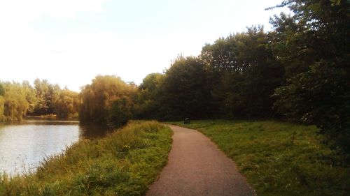 Scenic view of river amidst trees against sky