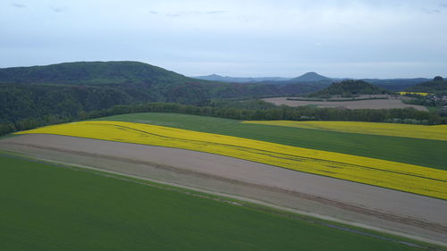 Scenic view of field against sky