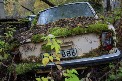 Abandoned vintage car in junkyard