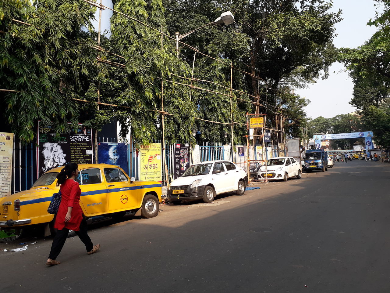 CARS ON ROAD BY TREES IN CITY