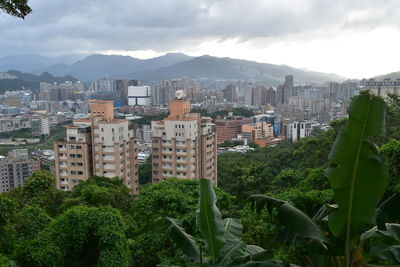 Trees and buildings in city against sky