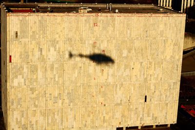 Close-up of shadow on wood