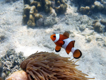 Rocks in sea