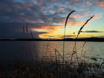 Scenic view of landscape at sunset