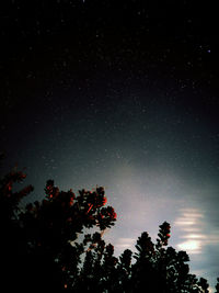 Low angle view of silhouette trees at night