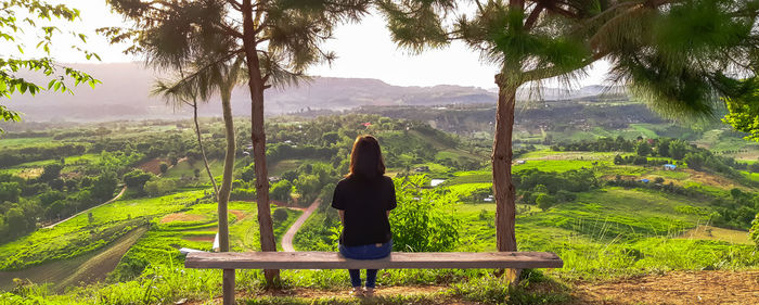 Rear view of woman looking at trees on landscape