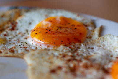 Close-up of breakfast served in plate