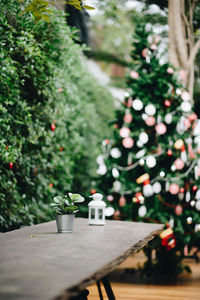 Christmas tree on table