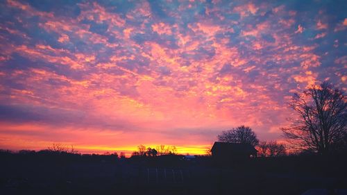 Silhouette of trees against dramatic sky