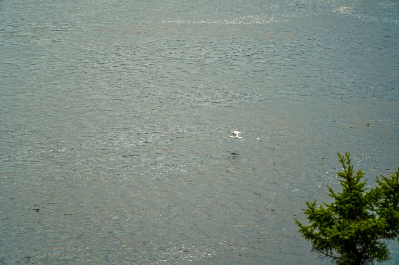 SCENIC VIEW OF SEA