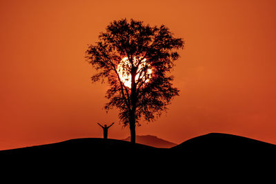 Silhouette tree against orange sky